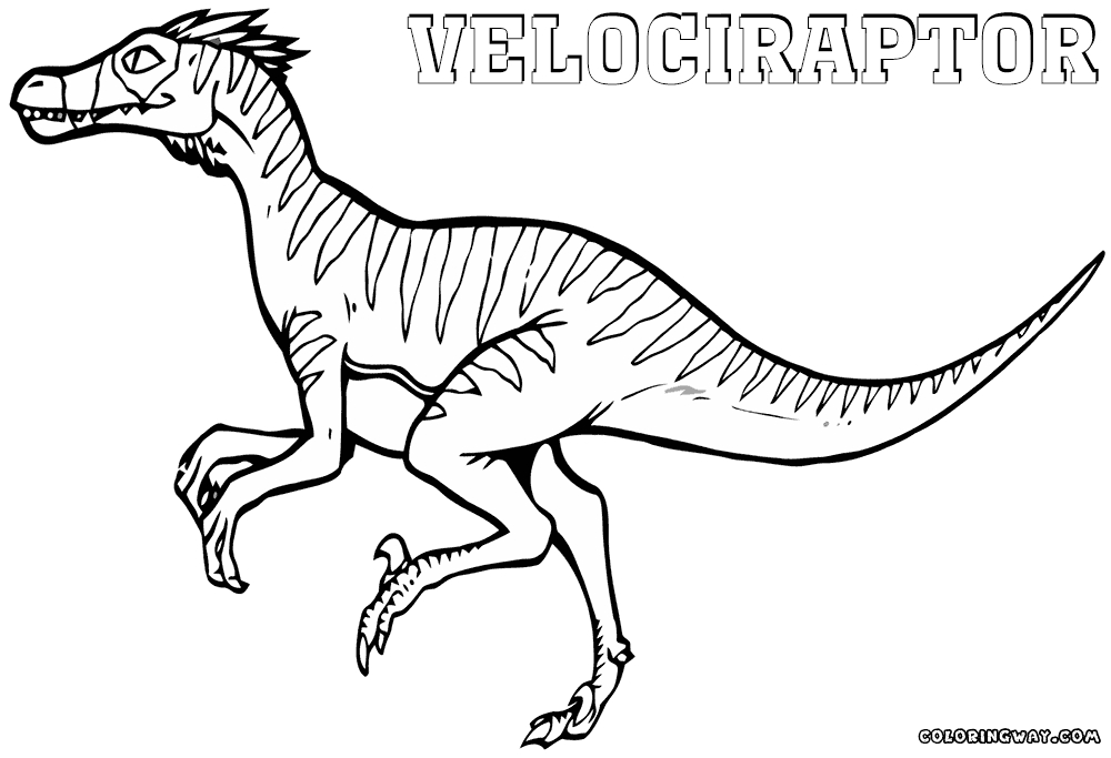 1000x683 21 Raptor Coloring Pages Pictures Free Coloring Pages