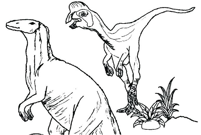 681x459 Velociraptor Coloring Page