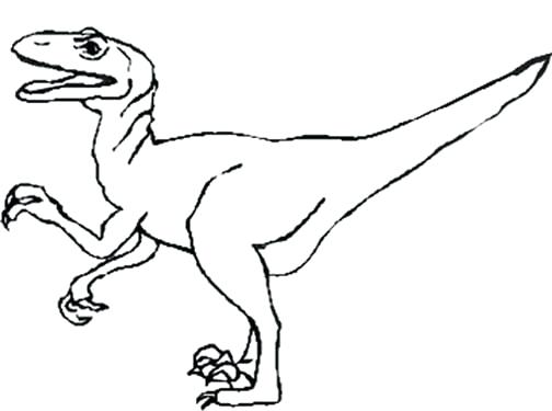 504x375 Dinosaur Coloring Pages 1 Kids Lego Raptor Page Murs