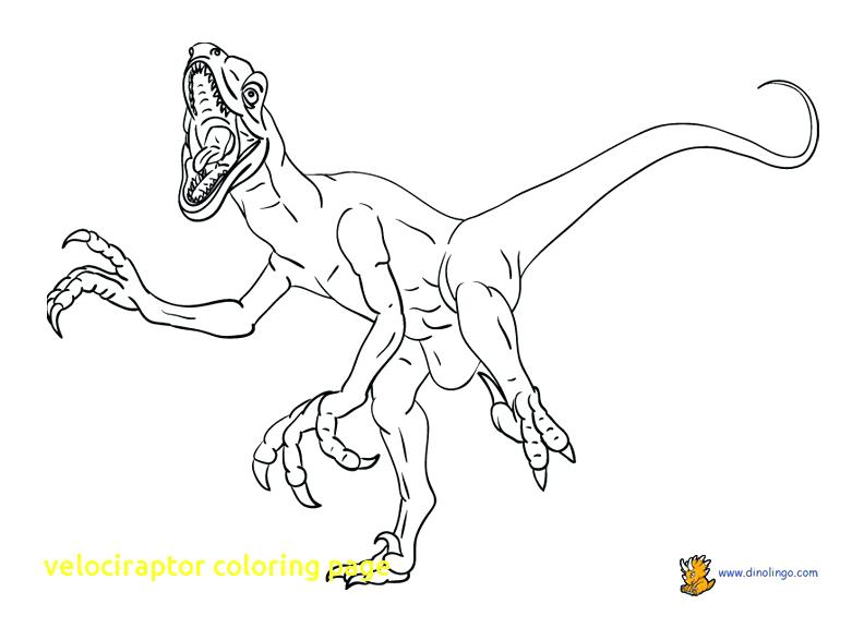 792x576 Velociraptor Dinosaur Coloring Pages Velociraptor Coloring Pages