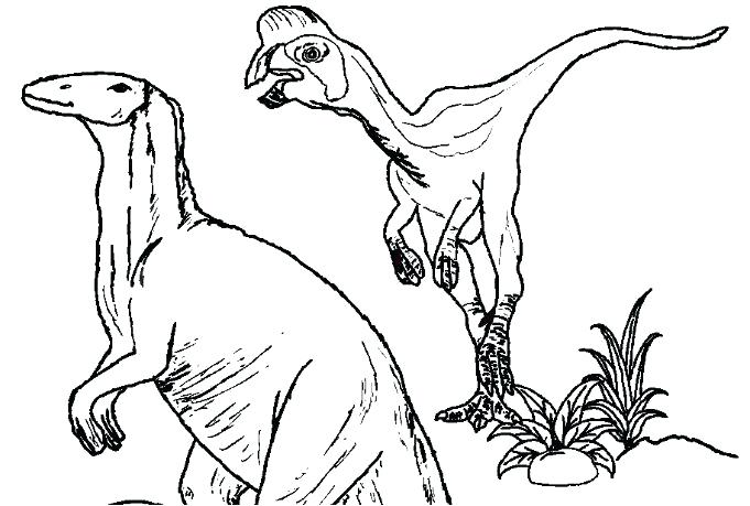 681x459 Coloring Page Stegosaurus Free Realistic Dinosaur Coloring Pages