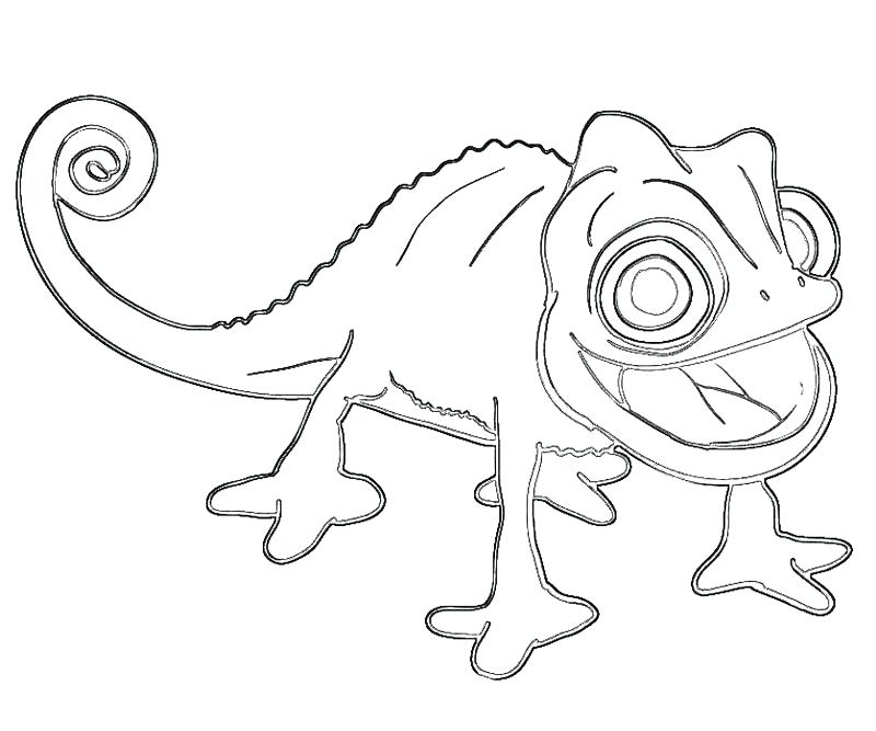 800x667 Disney Tangled Pascal Coloring Pages Printable Many Interesting 7