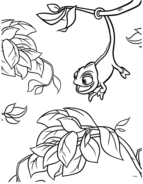 500x644 Coloring Pages Tangled Pascal Best Of Walt Disney Page