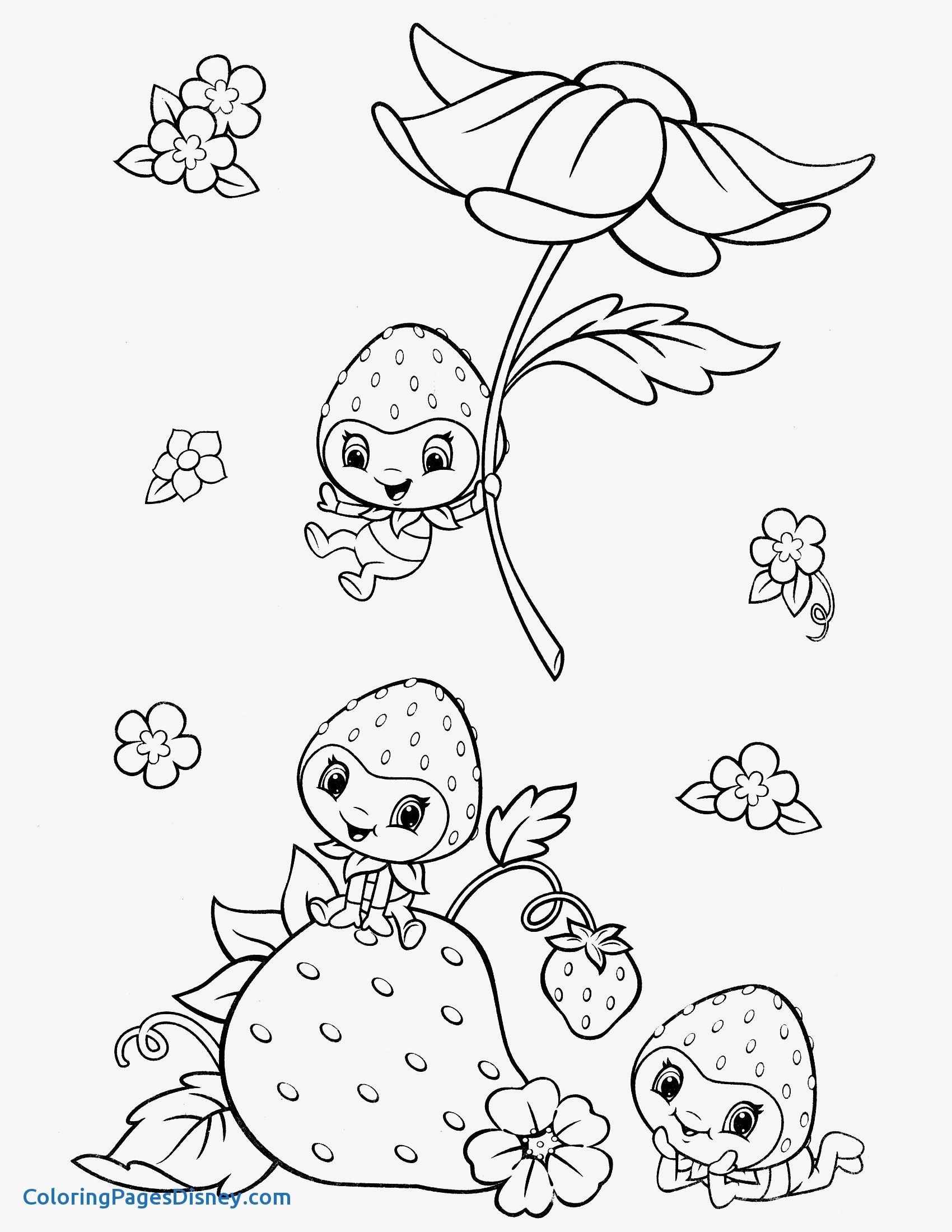 1700x2200 Raspberry Coloring Pages Lovely Strawberry Shortcake Coloring Page