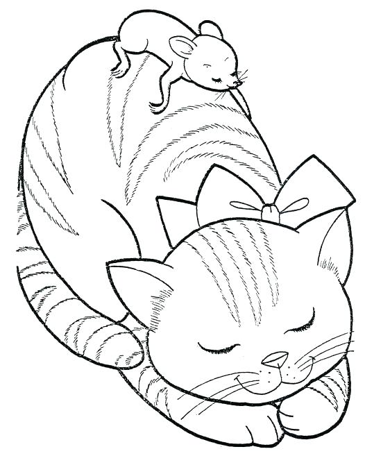 526x670 208 Best Saturated Canary Images On Coloring Books