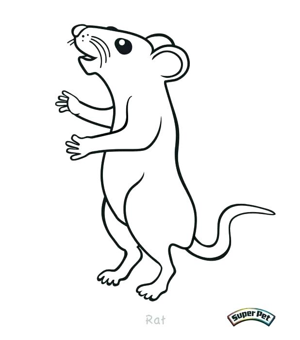618x699 Lab Rats Coloring Pages Rat Coloring Page Ideas On Rod Pictures