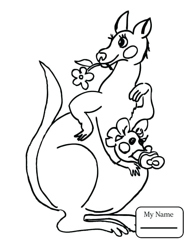 624x808 Rat Coloring Pages Kangaroo Coloring Page Kangaroo Rat Rat Rod
