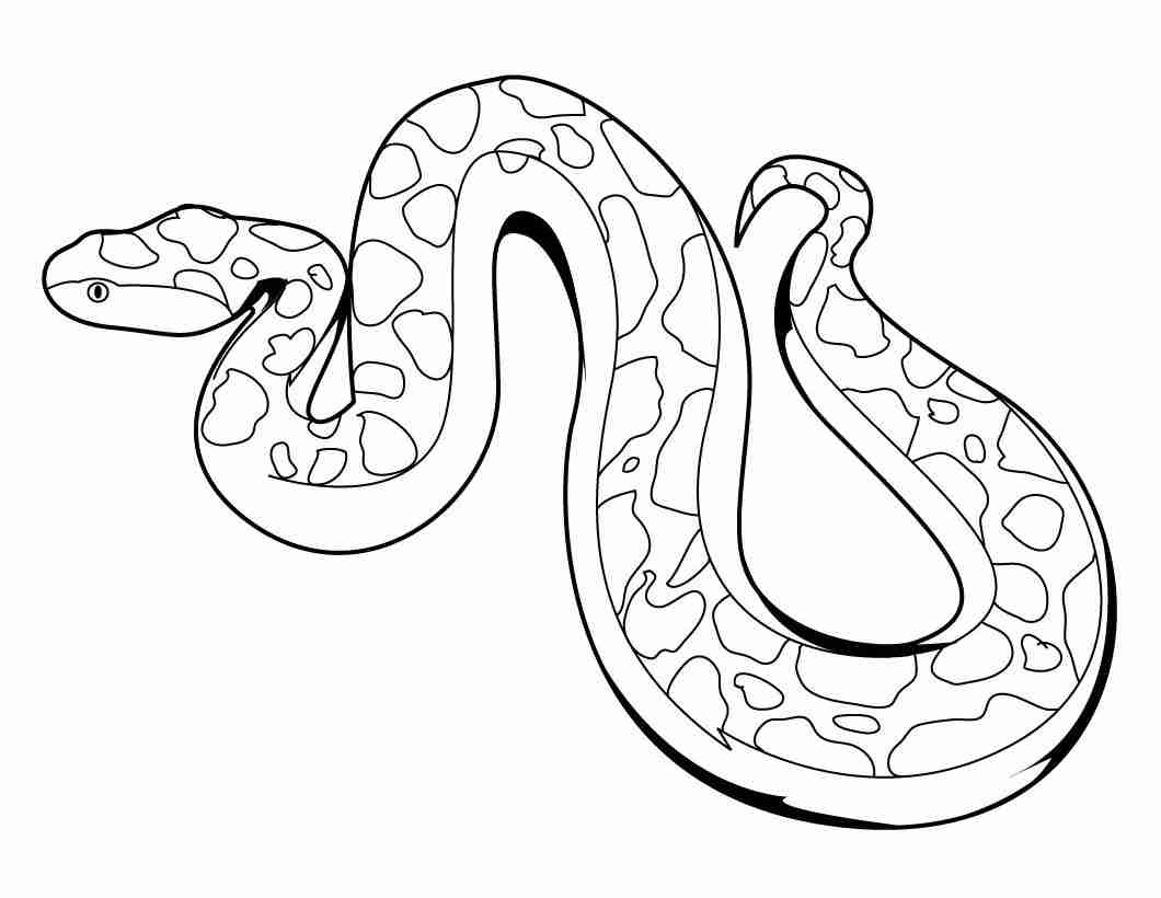 1060x820 Rattlesnake Coloring Page Olegratiy