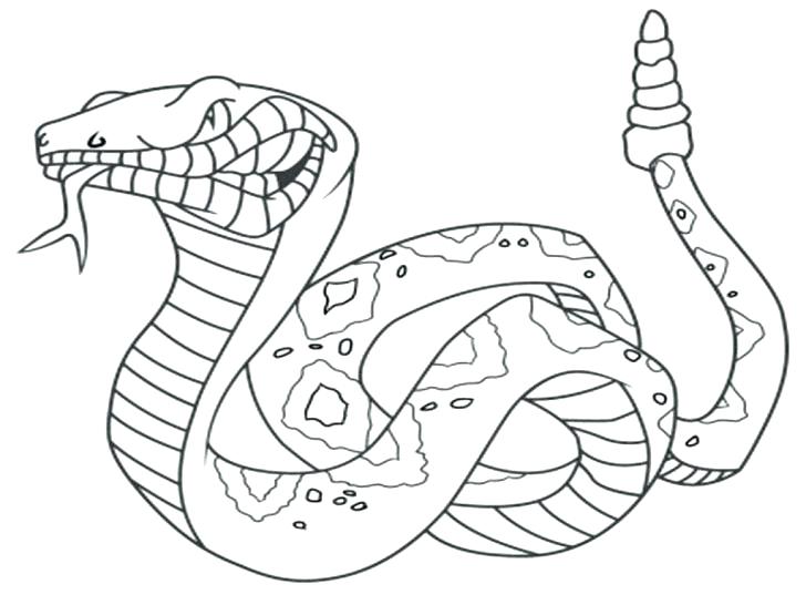 728x546 Rattlesnake Coloring Page Snake Coloring Page Pictures Of Snakes