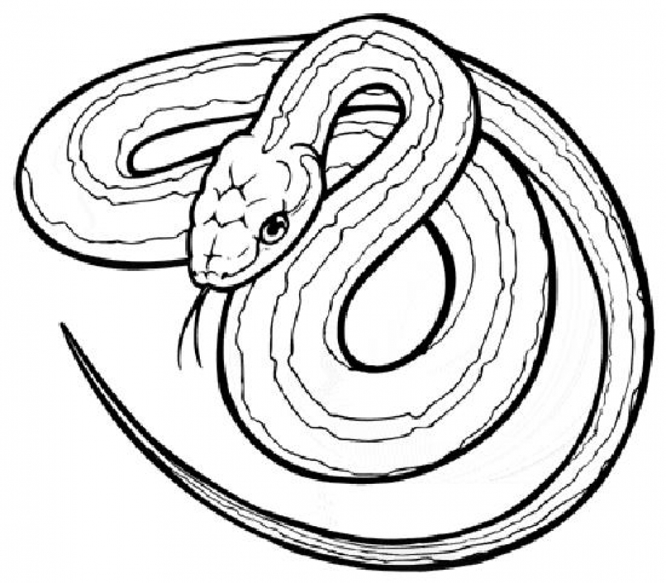 960x841 Tree Snake Coloring Pages For Kids Eyes Cobra Colouring Lego