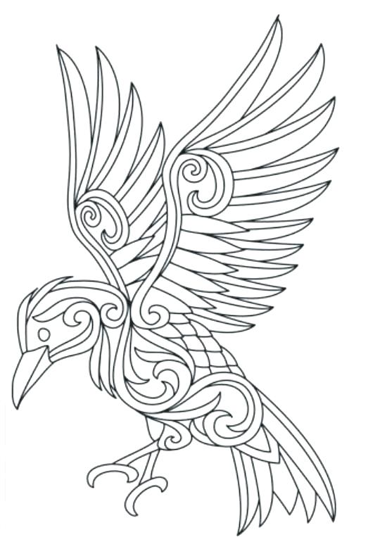 523x763 Ravens Coloring Pages Ravens Coloring Pages Quoth The Raven Ravens
