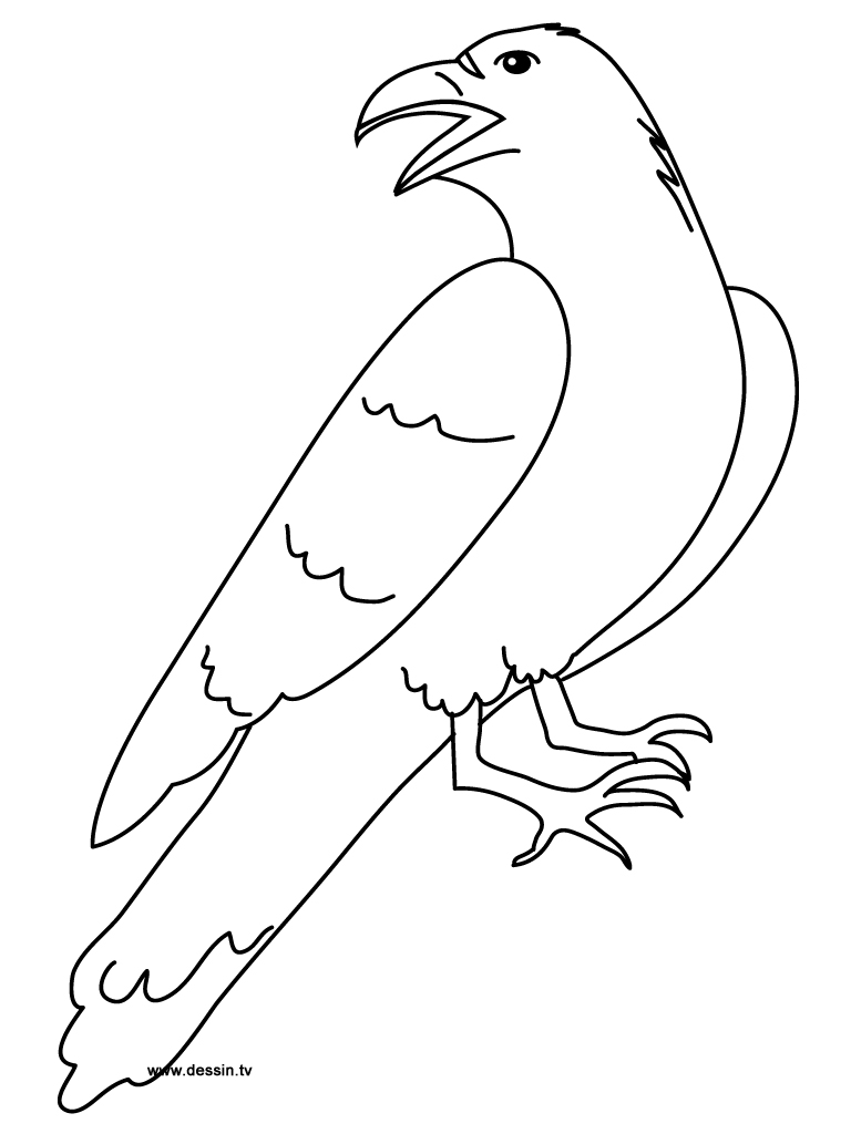 768x1024 Coloring Raven