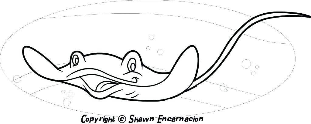 1024x409 Ray Coloring Pages Colorful Moray Eel Manta Ray Coloring Pages