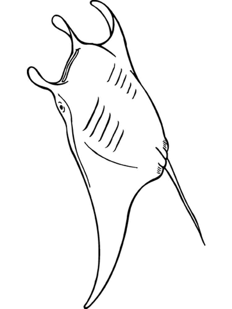 750x1000 Ray Coloring Pages. Download And Print Ray Coloring Pages.