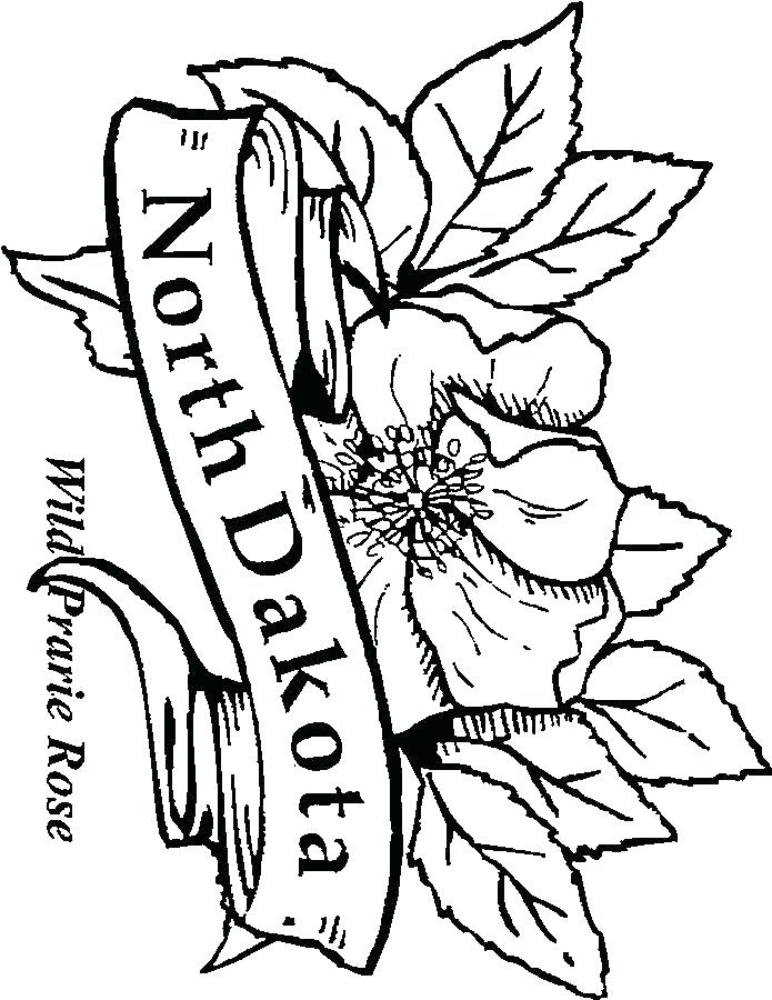 695x900 Arkansas Coloring Pages State Flower Coloring Pages Images