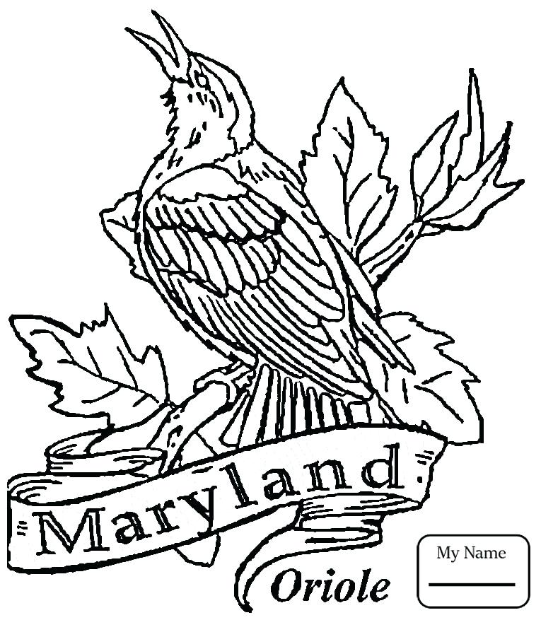 765x877 Arkansas Coloring Pages Coloring Pages For Kids Birds Mockingbird