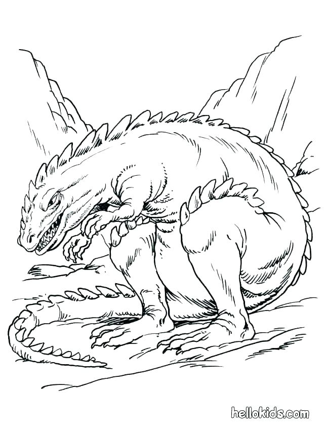 640x843 Realistic Animal Coloring Pages