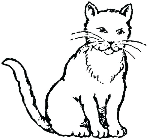 600x564 Wild Cat Coloring Pages Impair.co