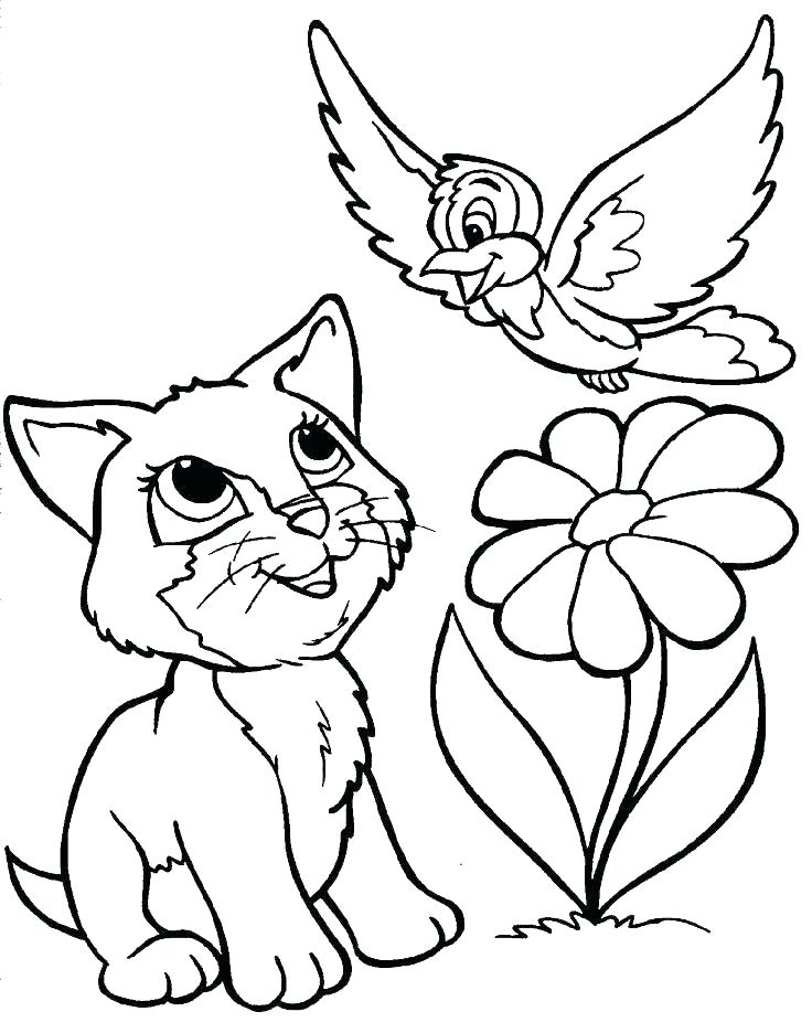 736x936 Big Cat Coloring Pages Coloring Pages Cat Cat In The Hat Coloring