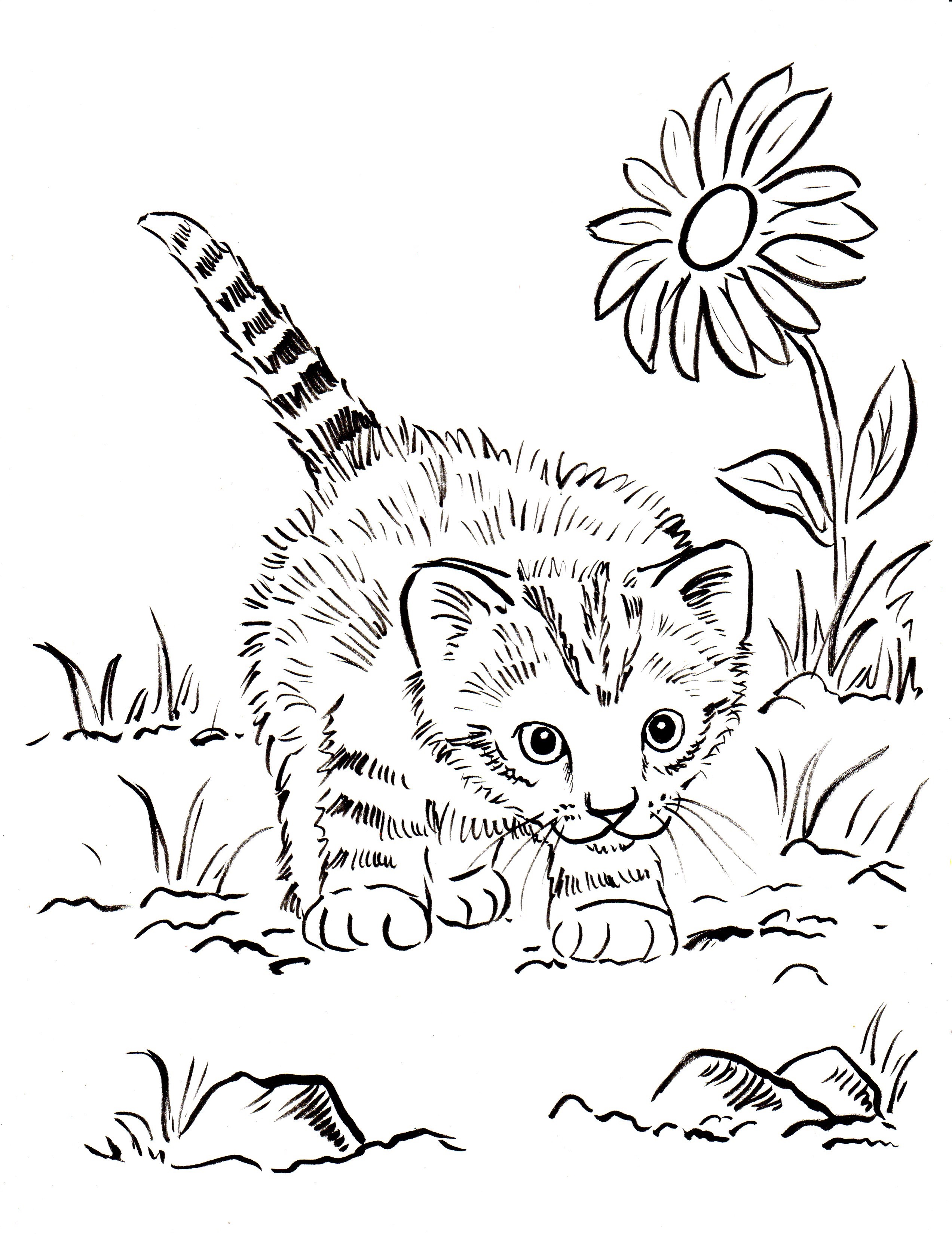 2545x3300 Black And White Realistic Cat Coloring Pages Kitten