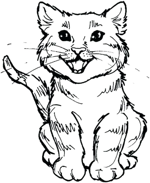 600x731 Cat Color Page Dog Marvel Black Cat Coloring Pages