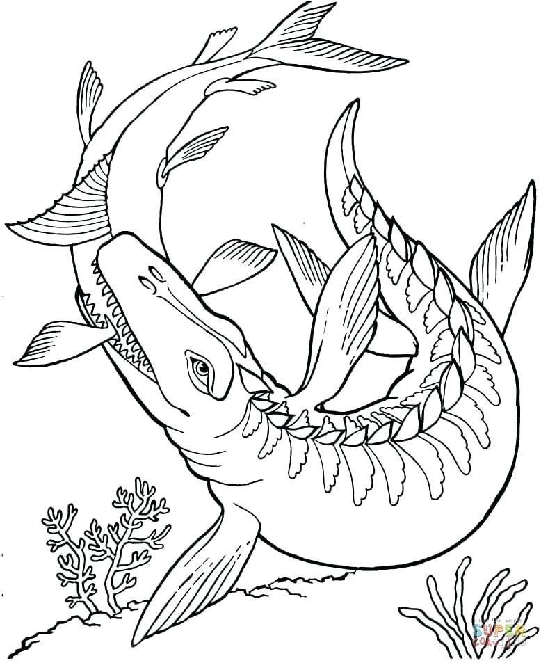 778x953 Dinosaur Coloring Page Dinosaur Coloring Sheets Also Dinosaur