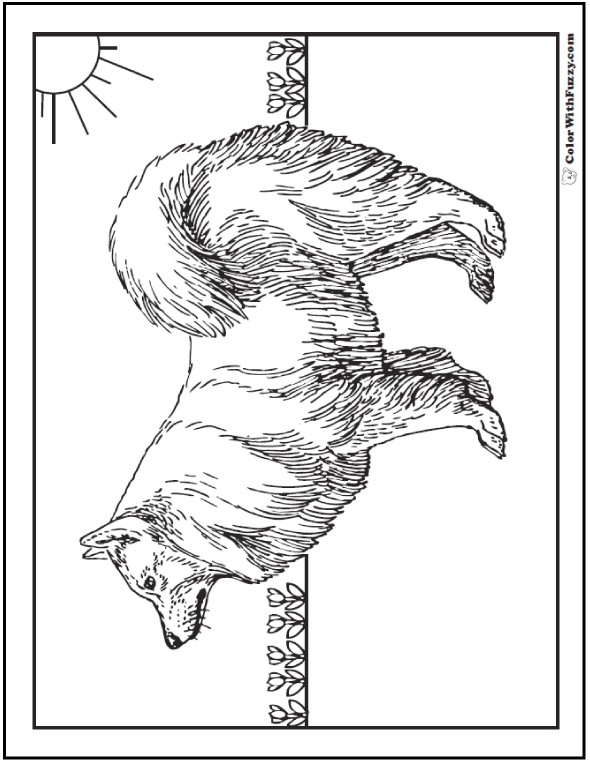 Real Dog Coloring Pages