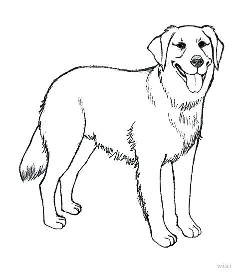 503x549 Dogs Coloring Page Lovely Realistic Dog Coloring Pages