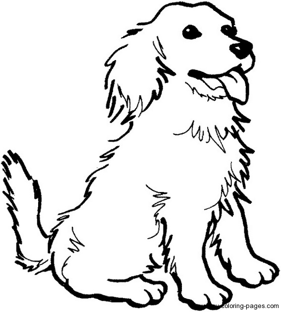 567x629 Picture Of Dog To Color 35 Color Pages Of Dogs Realistic Coloring