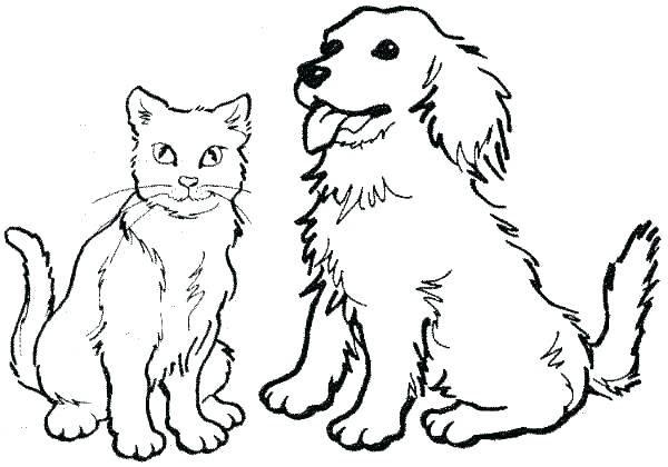600x420 Cats And Dogs Coloring Pages