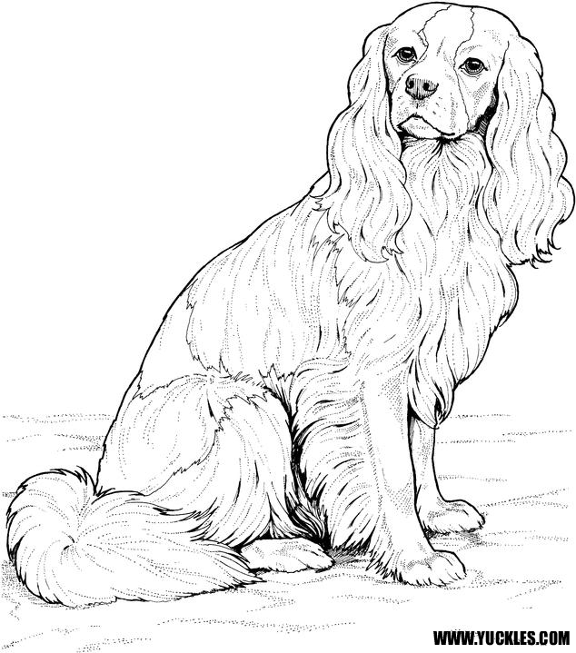 634x719 Ckcs Coloring Page By Yuckles!