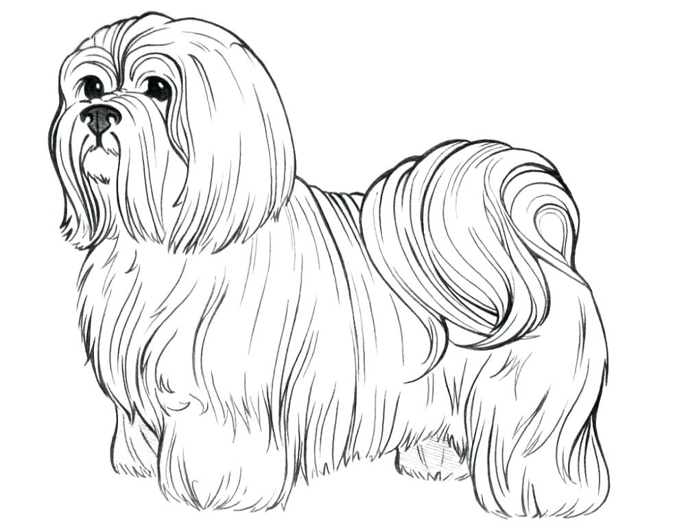 1000x768 Color By Number Dog Coloring Pages By Number With Best Color By