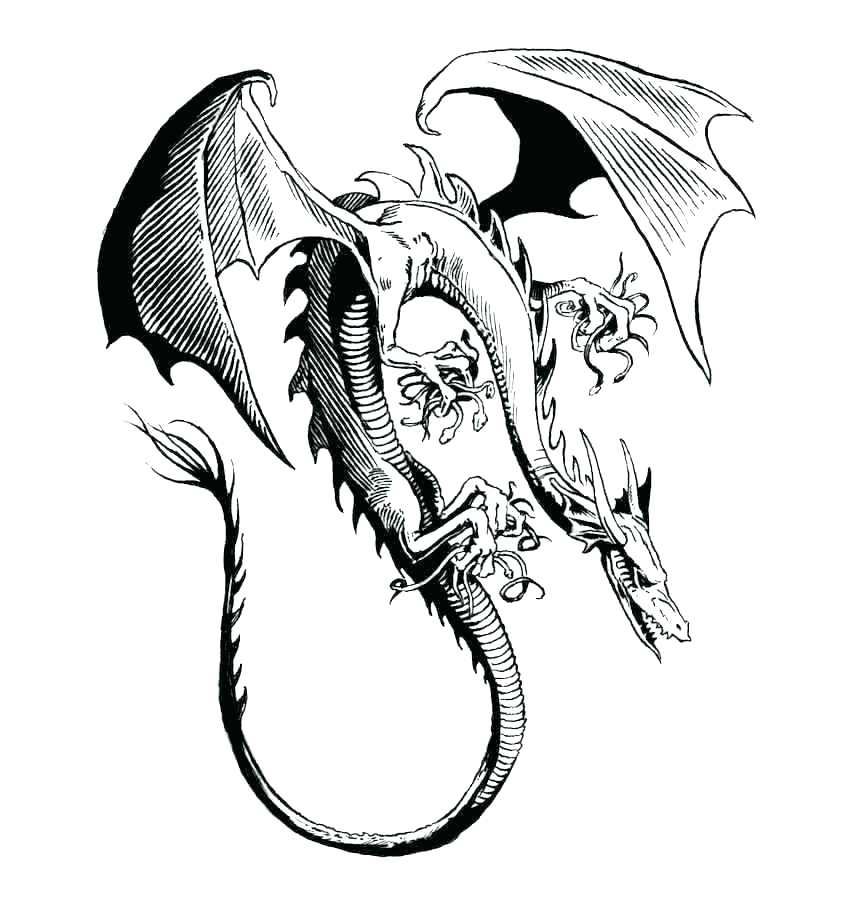 846x920 Komodo Dragon Coloring Pages Dragon Coloring Page Dragon Coloring