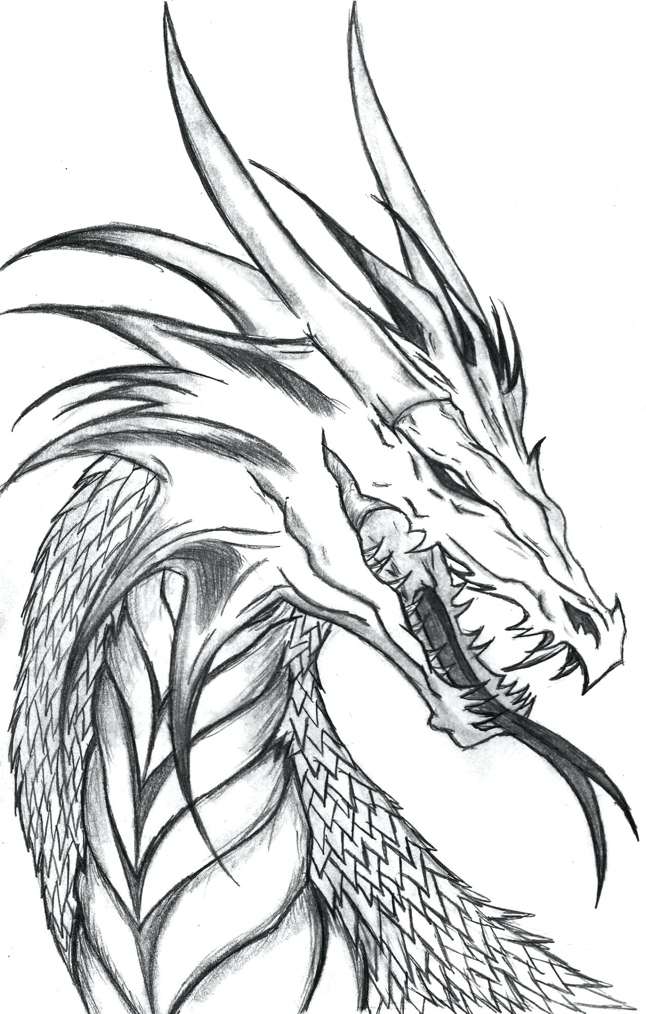 1275x2000 Realistic Coloring Pages Of Dragons