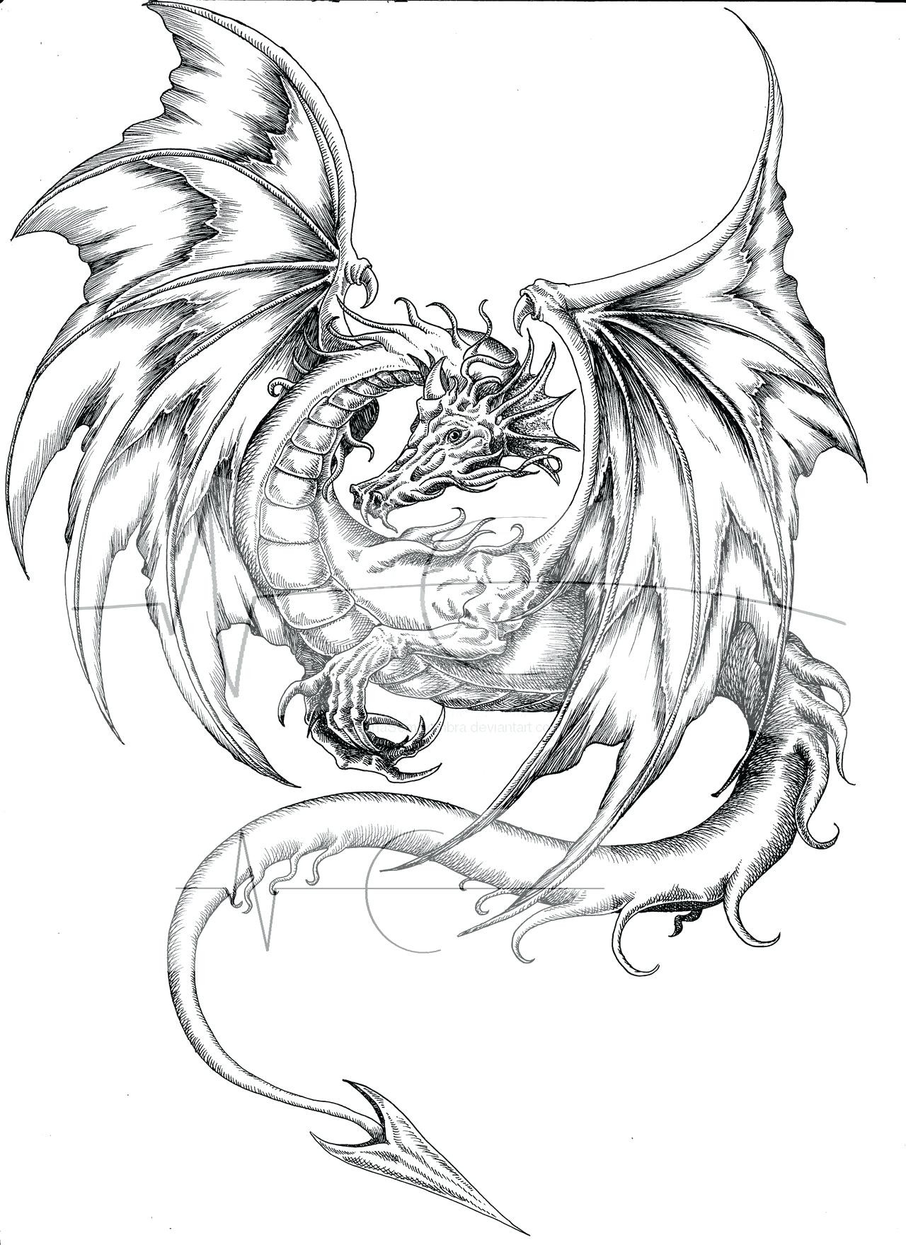 1280x1760 Coloring Pages Of Dragons Realistic Acpra