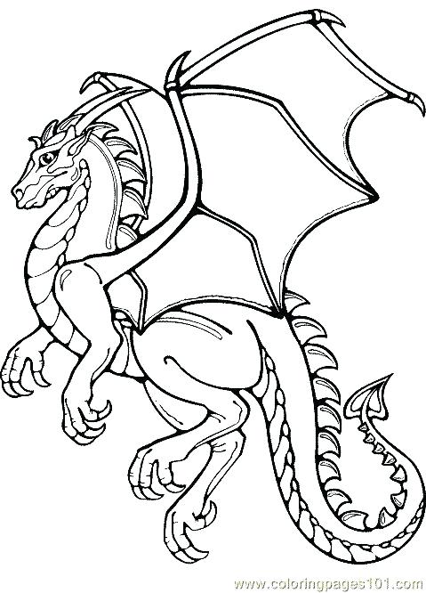 479x666 Desdentado Dragon Para Colorear Dragon Coloring Pages Realistic