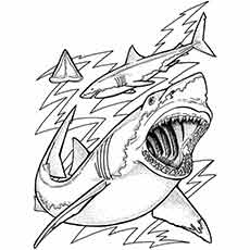 Real Fish Coloring Pages