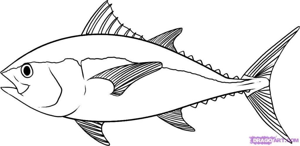 1024x497 Real Fish Coloring Pages Az Coloring Pages In Style