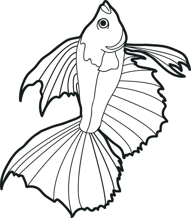 614x700 Coloring Pages Fish Puffer Fish Coloring Page Fish Puffer Fish