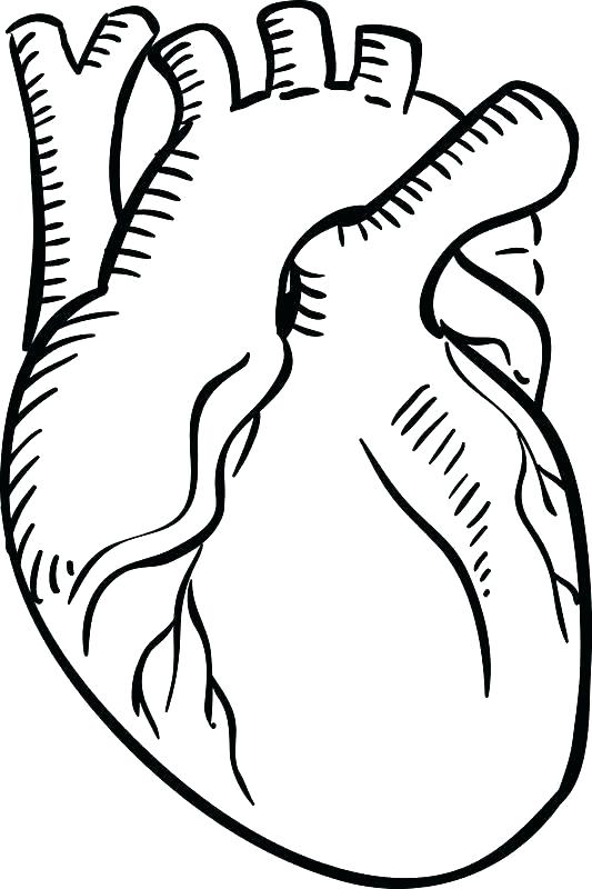 533x800 Heart Coloring Pages Trendy Design Ideas Broken Heart Clip Art