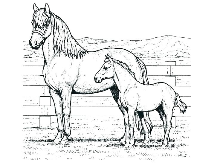 736x552 Horses Coloring Pages By On Spirit Horse Coloring Pages Printable