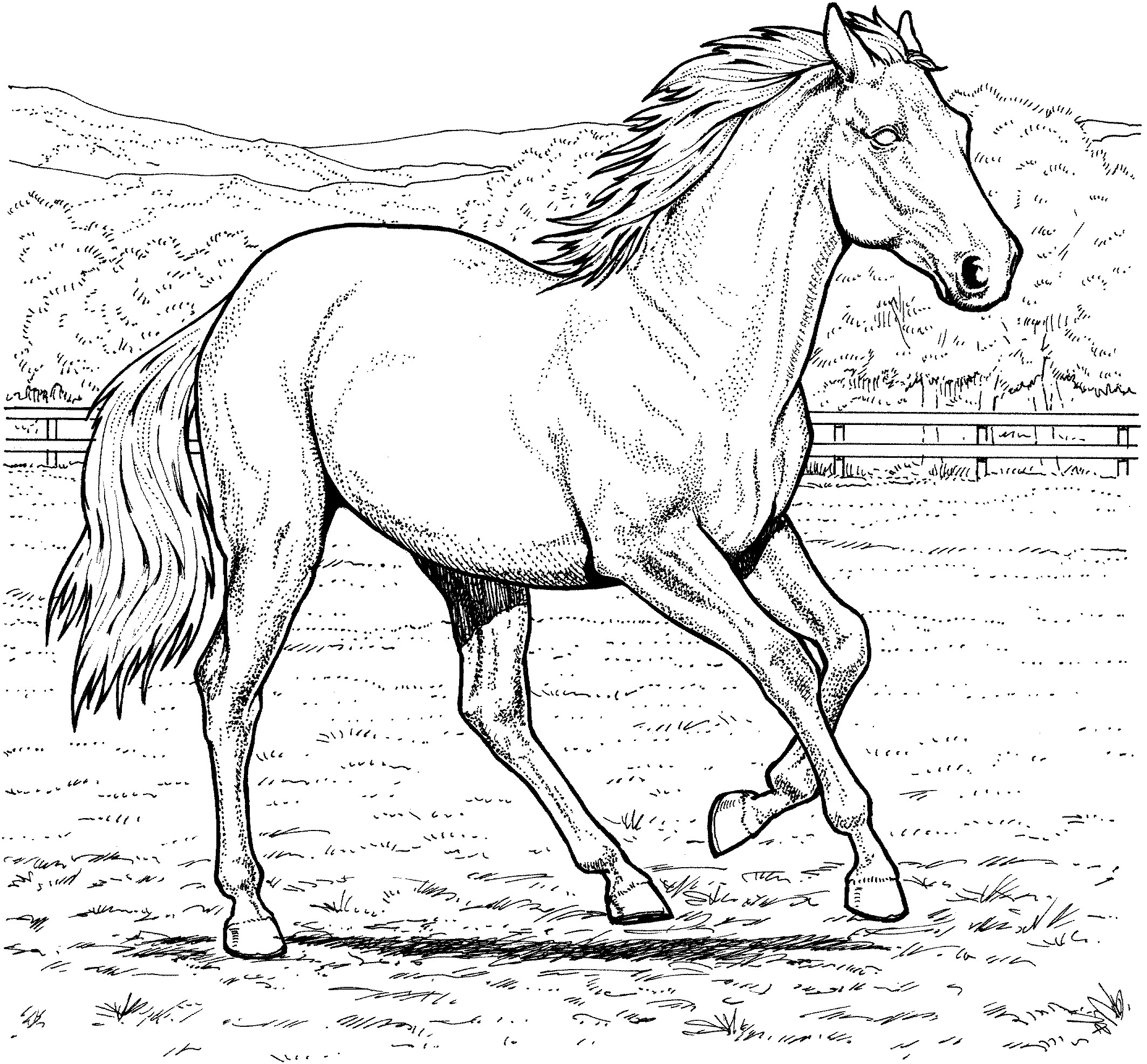 2126x1973 Printable Horse Coloring Pages Fun Time