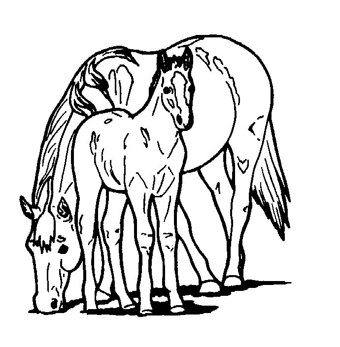 690x705 Horse Coloring Pages To Print Free