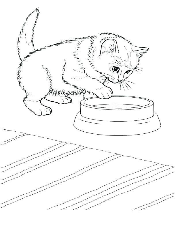618x793 Free Printable Pictures Of Kittens Printable Kitten Coloring Pages