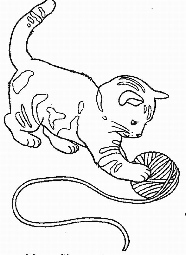 614x840 Kitten Coloring Pages 9