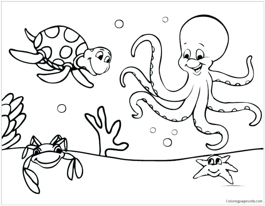 878x683 Marine Coloring Page Animal Coloring Book Pages Coloring Pages Sea