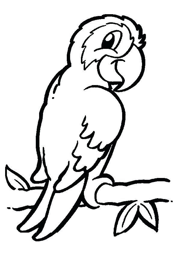 595x842 Real Animal Coloring Pages Mammal Coloring Pages Ocean Animal