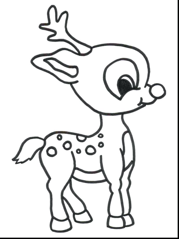 687x916 Real Animal Coloring Pages Medium Size Of Animals Printable