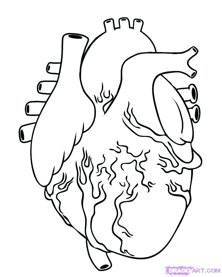 764x953 Captivating Heart Color Page Puppy Love Coloring Pages I Love You