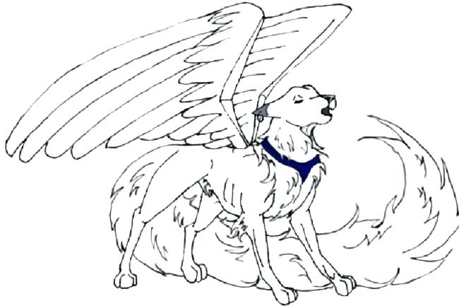 650x433 Wolf Coloring Pages